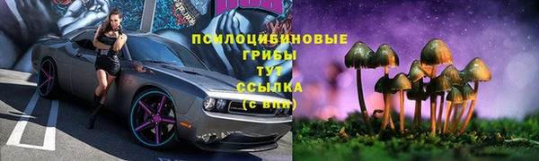 молекула духа Зеленокумск