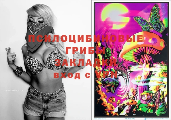 молекула духа Зеленокумск