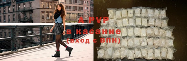 твердый Ельня